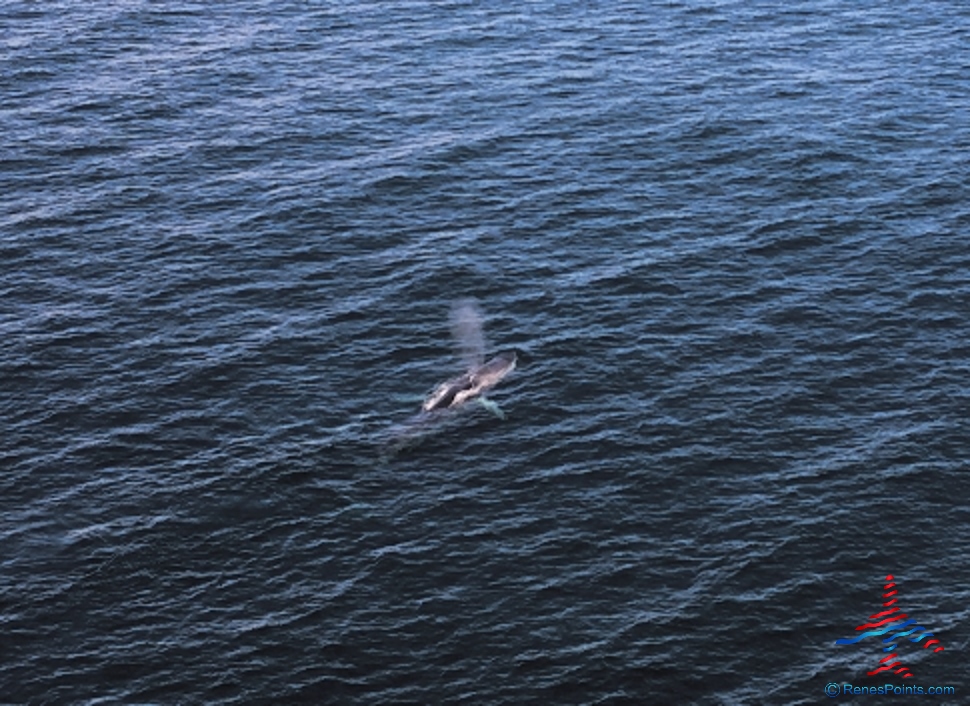 Norwegian Gem Obstructed View Porthole Cabin 8064 Seven Day Canada & New England from New York Review