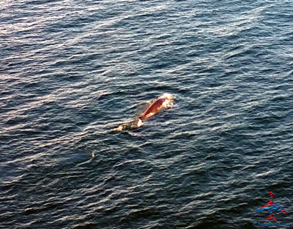 Norwegian Gem Obstructed View Porthole Cabin 8064 Seven Day Canada & New England from New York Review