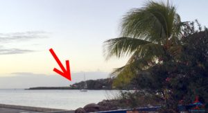 a palm tree next to a body of water