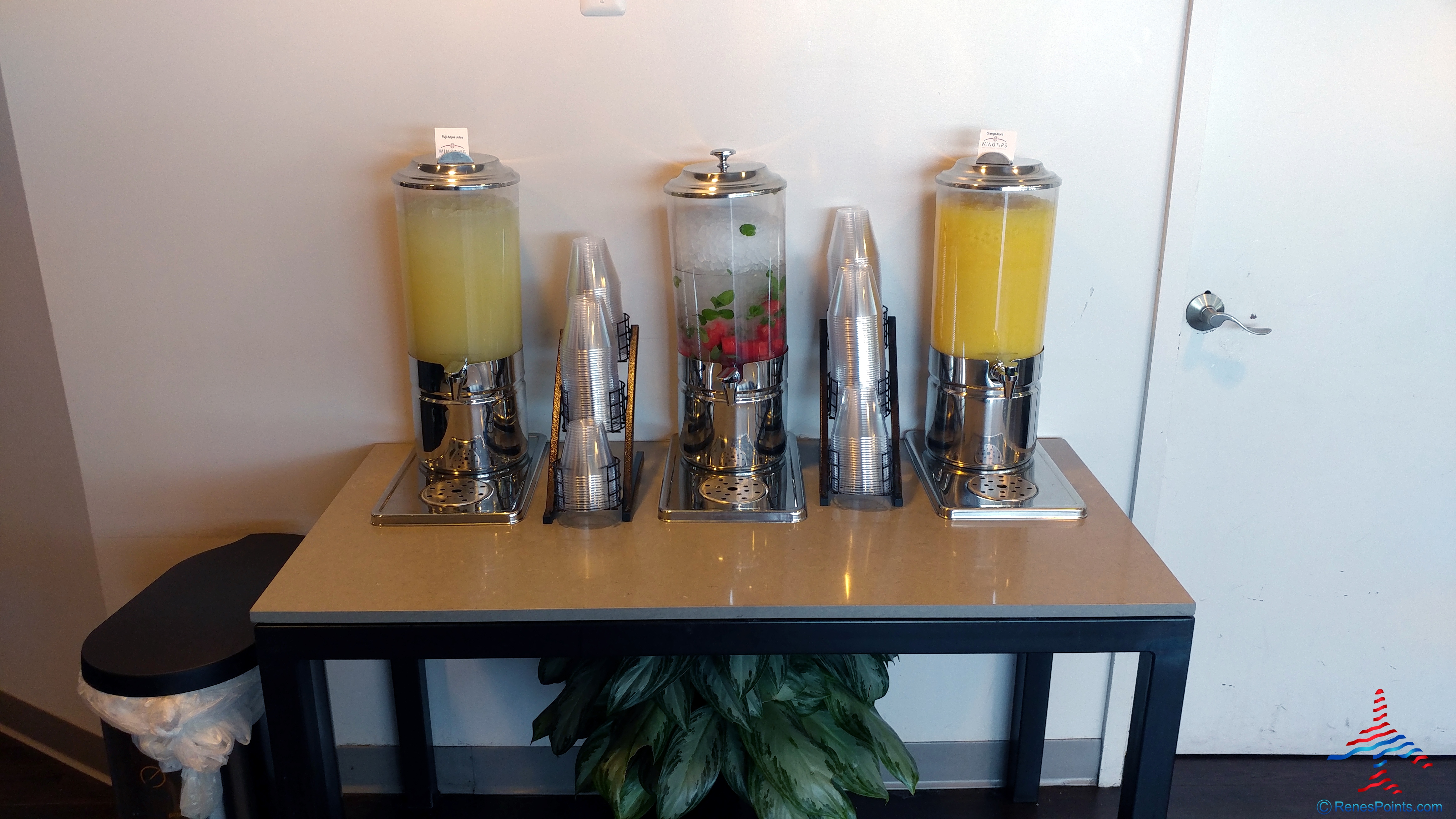Wingtips New York JFK T4 Airport Priority Pass Lounge Review (Post Security)