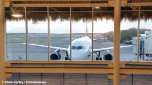 Sunrise over a Delta bird at Punta Cana (PUJ) in the Dominican Republic.