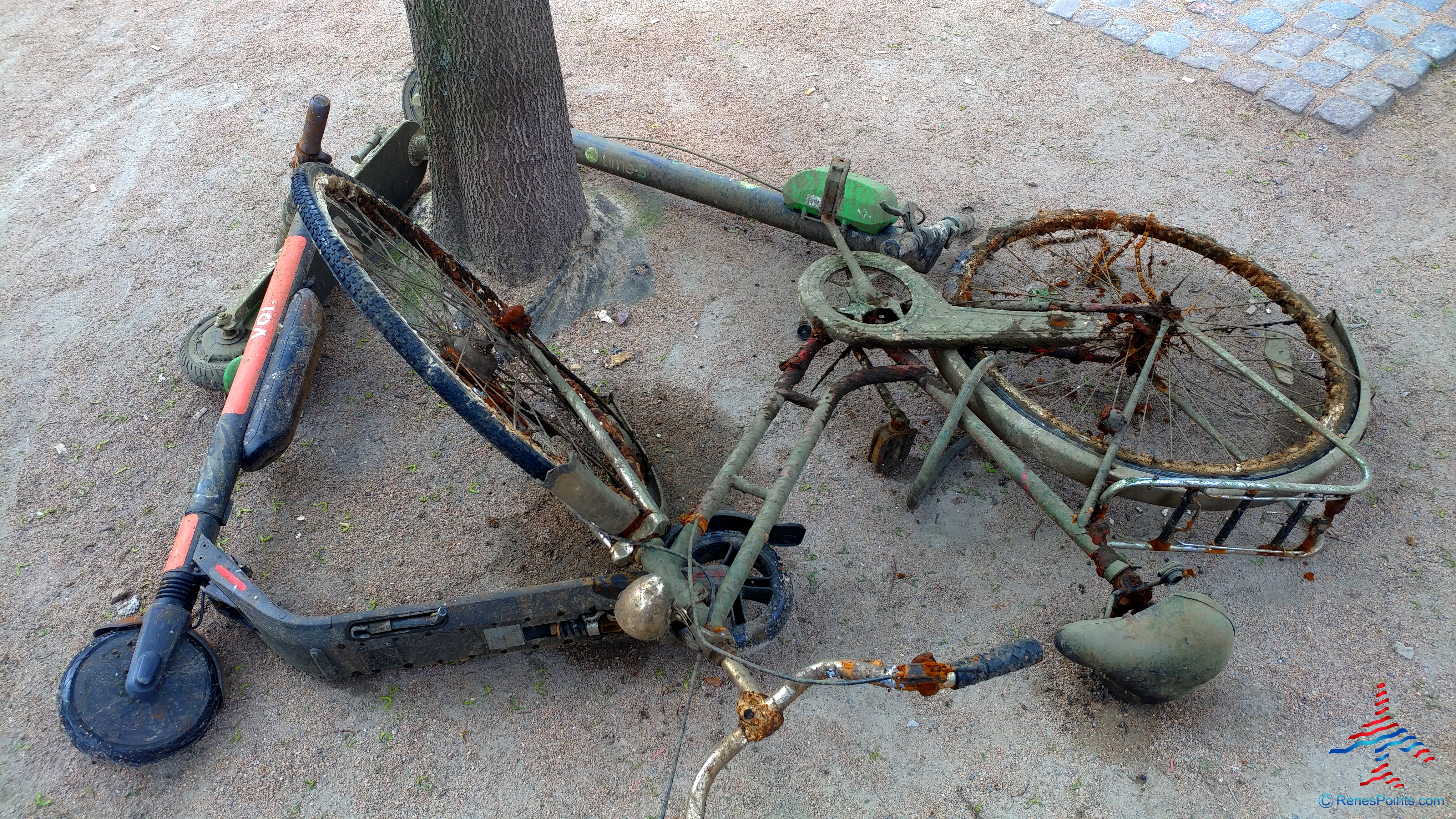 Would You (or Have You) Used a Lime Scooter? Are They Safe? Are They a Public Nuisance? Do You Like Them or Hate Them in Your City?