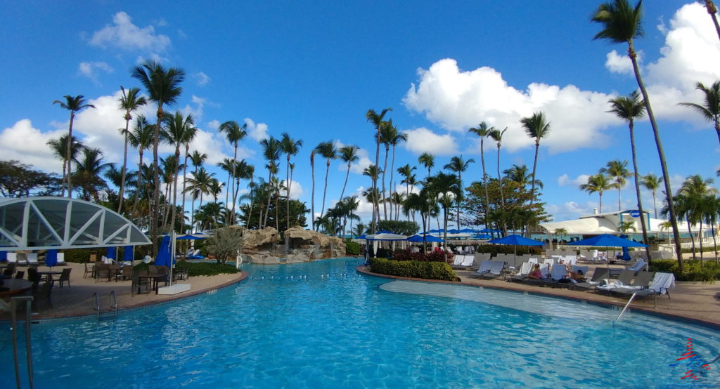 a pool with palm trees and chairs