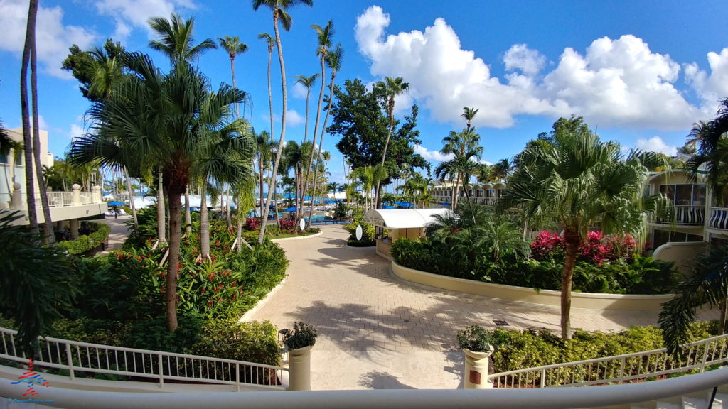 a walkway with palm trees and bushes