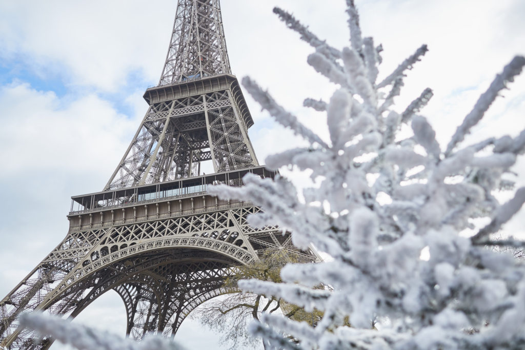 Christmas tree covered with snow near the Eiffel tower in Paris, France