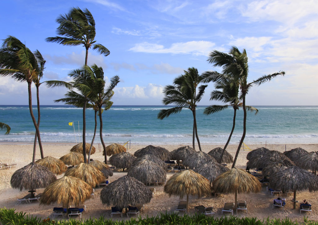 Beach photo with palm trees and blue ocean. Dominican Republic