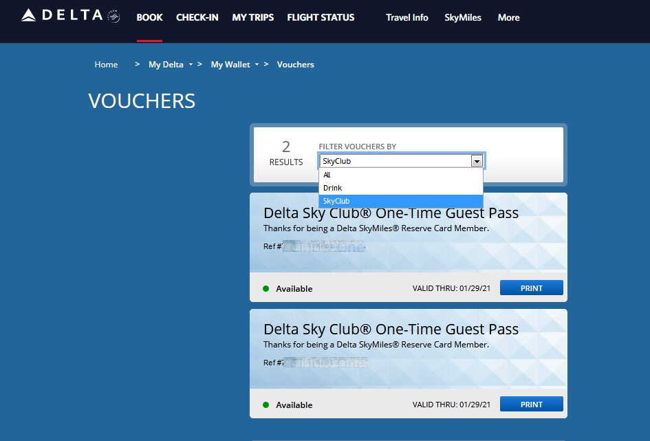 Which Credit Cards Now Give You Delta Sky Club Lounge Access?