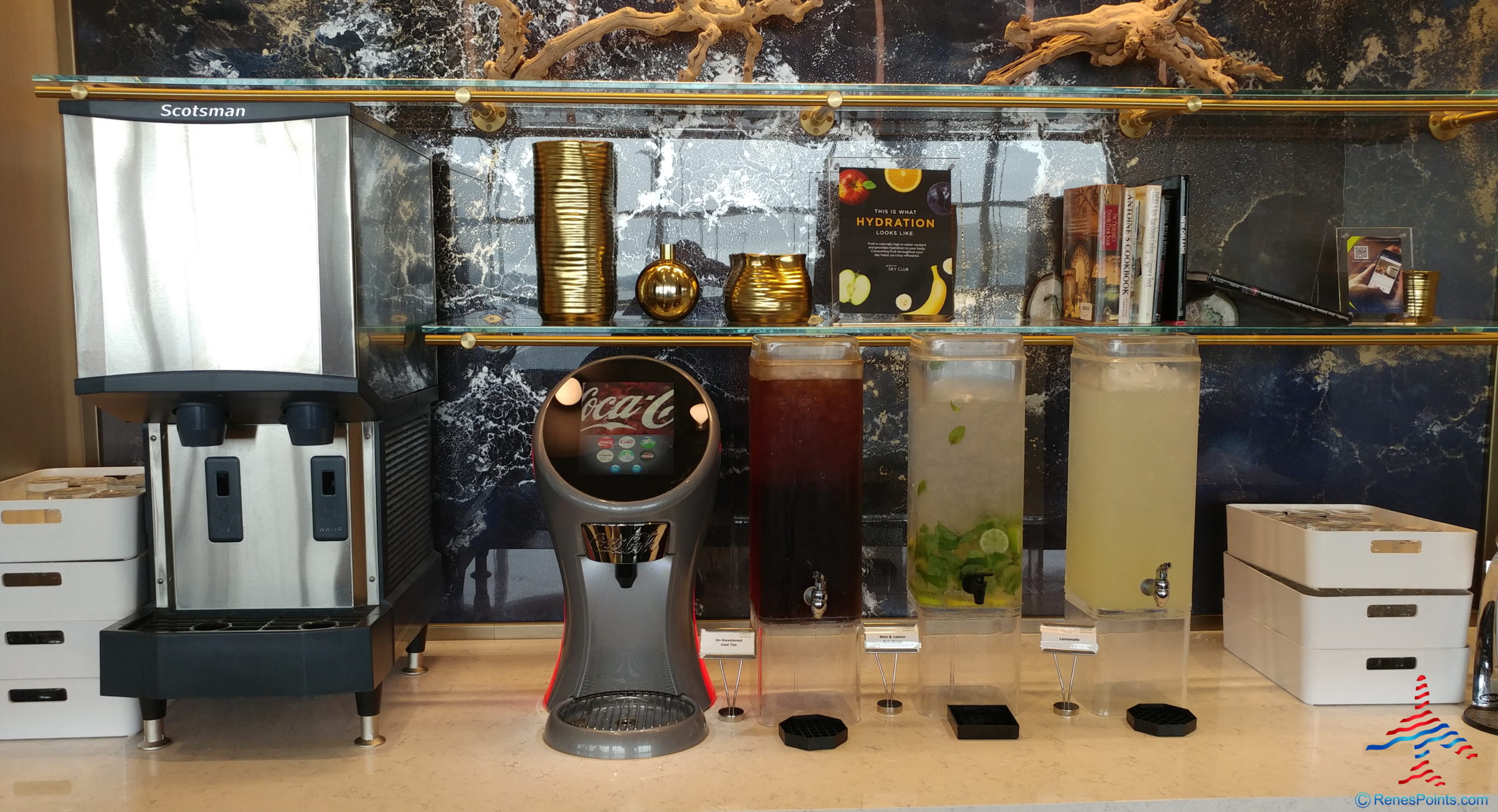 Review: New Orleans Delta Air Lines Sky Club 2020 – Louis Armstrong International Airport (MSY)