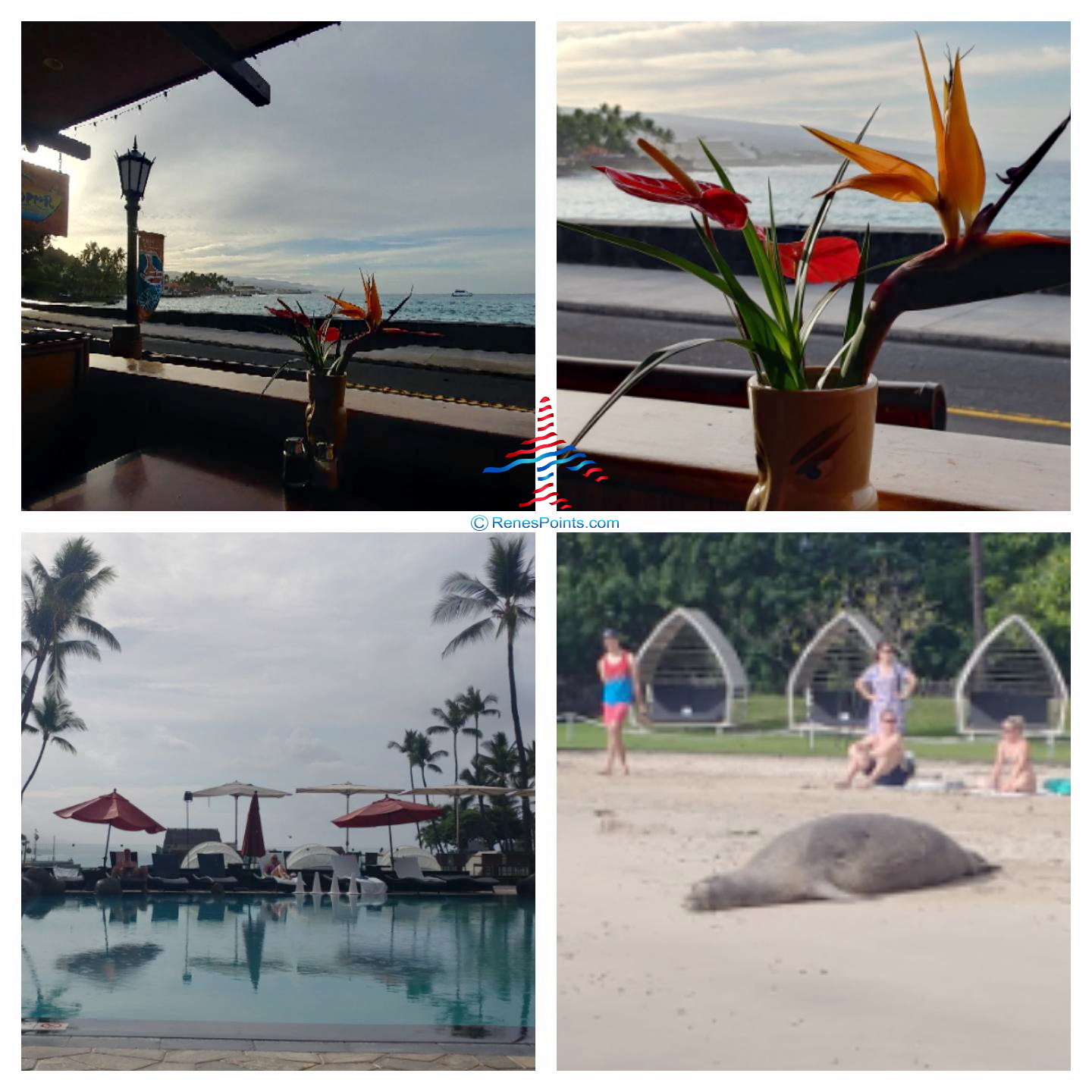 Will You Stay in a Resort Bubble if it Means You Can Travel Again?