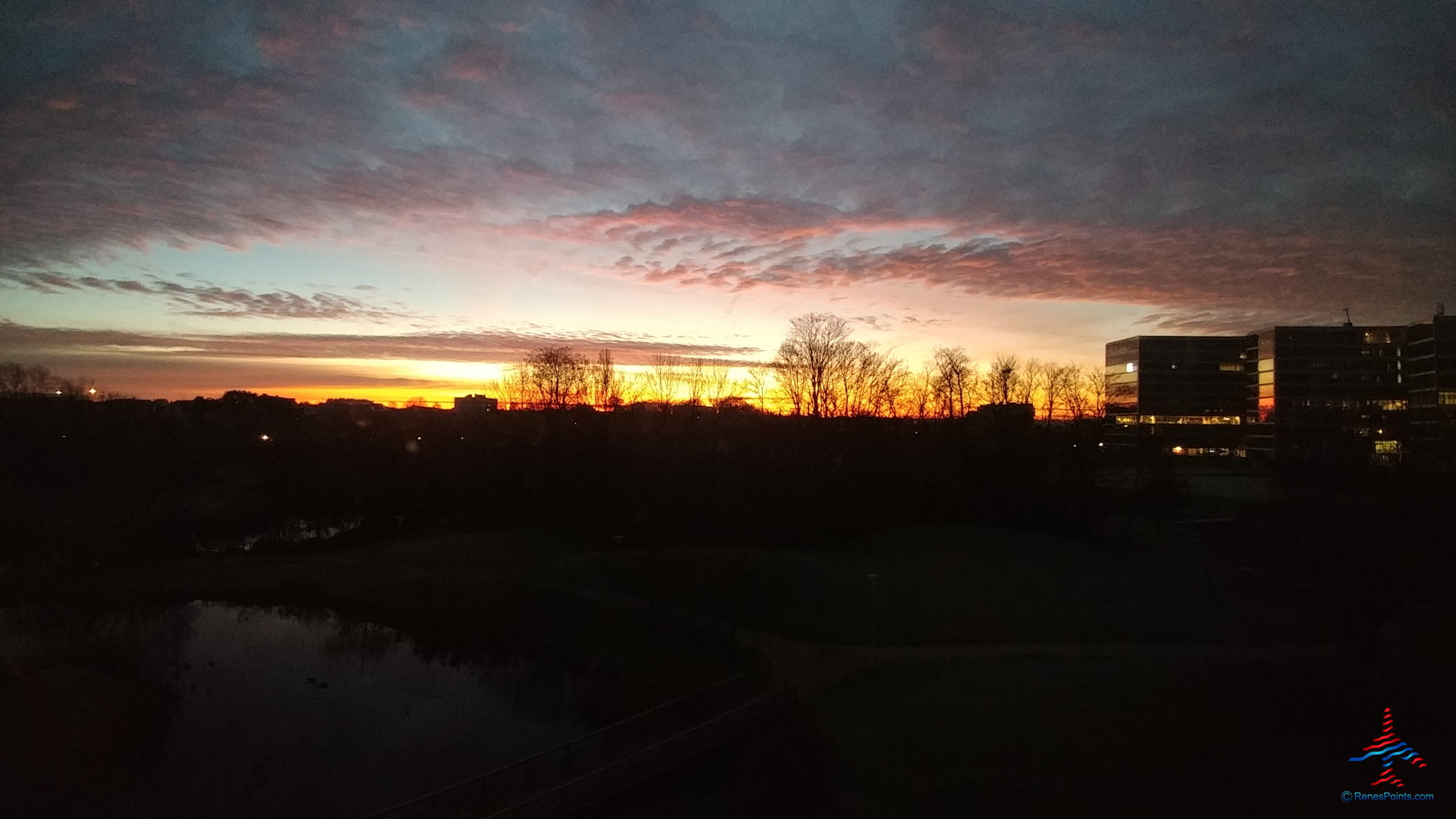 Dinner in Brussels for miles – a mileage run? Why not! I miss travel the way it used to be (pre-COVID).