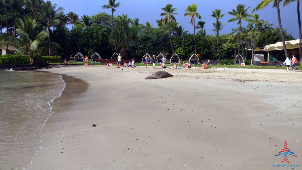 a group of people on a beach