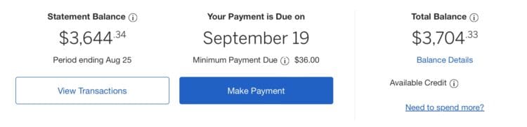 My first statement from the Blue Business Plus from American Express Card