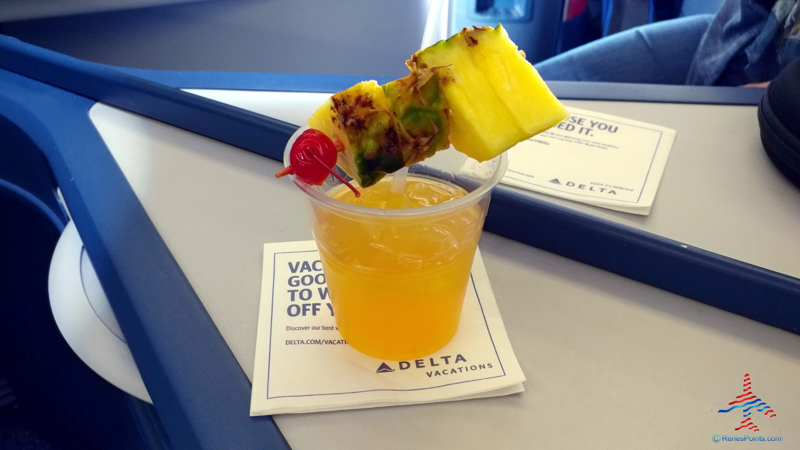 Final Thoughts – Was it Worth it to take a Year End Delta Mileage Run for Status?