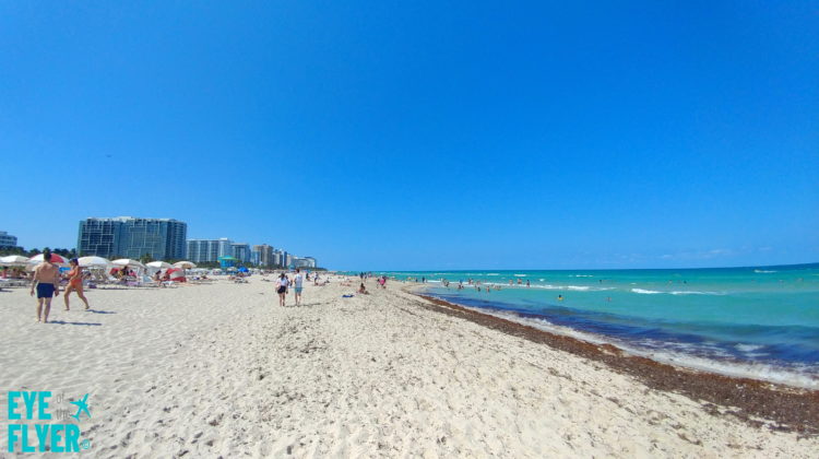 Review: Kimpton Surfcomber Hotel South Beach Miami