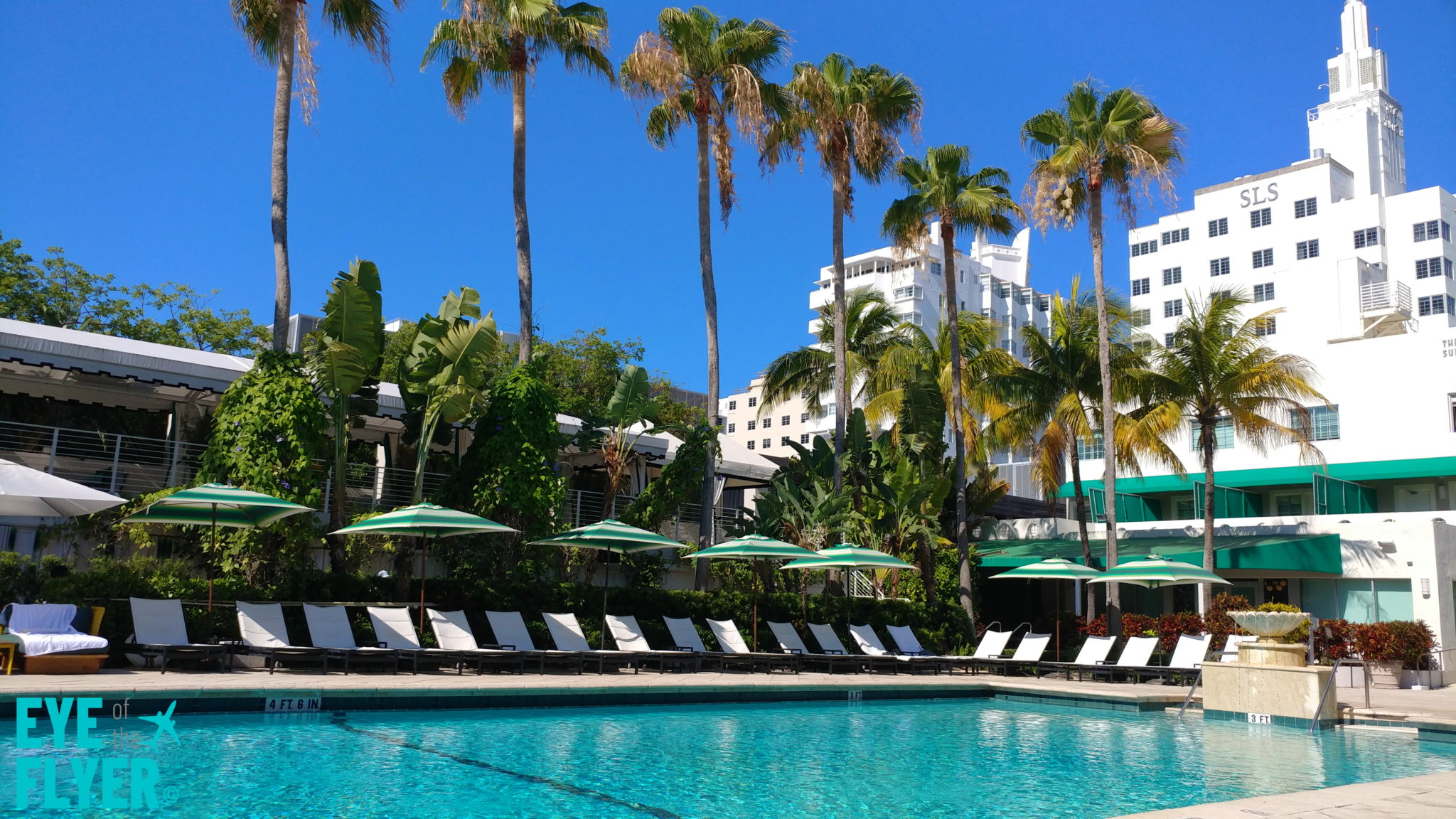 IHG Kimpton Hotel SouthBeach Miami Hotel Review May 2021 (5) Eye of the Flyer
