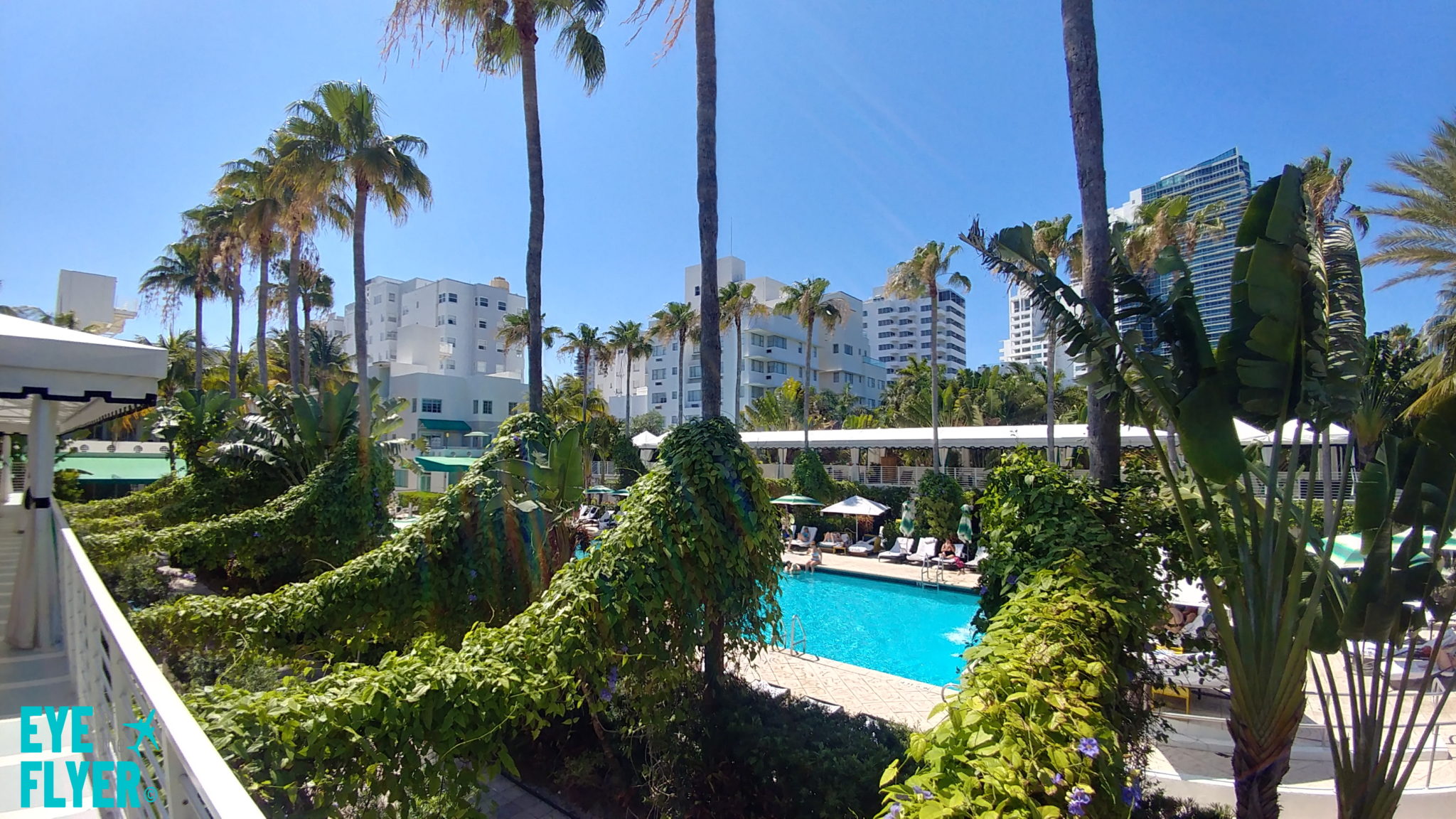 kimpton surfcomber hotel an ihg hotel reviews