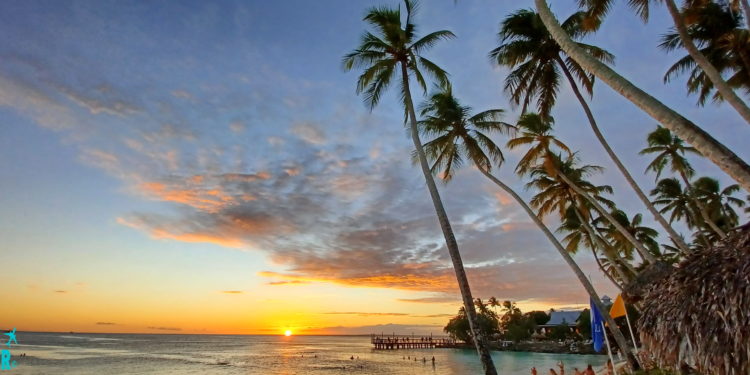 a sunset over a beach with palm trees