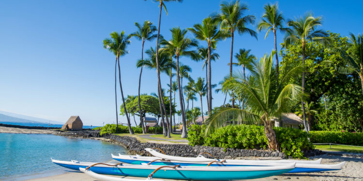 a group of canoes on a beach