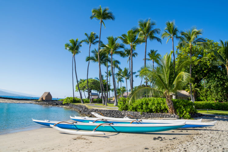 a group of canoes on a beach