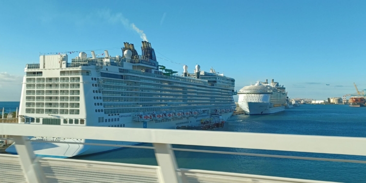 a cruise ships docked in a harbor