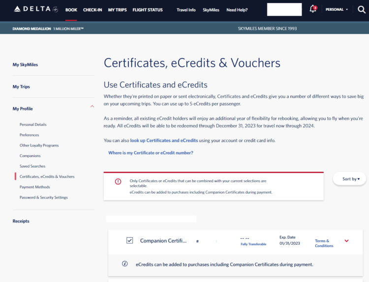 Delta Air Lines Quietly Improves Payment Options with Amex Companion Certificates