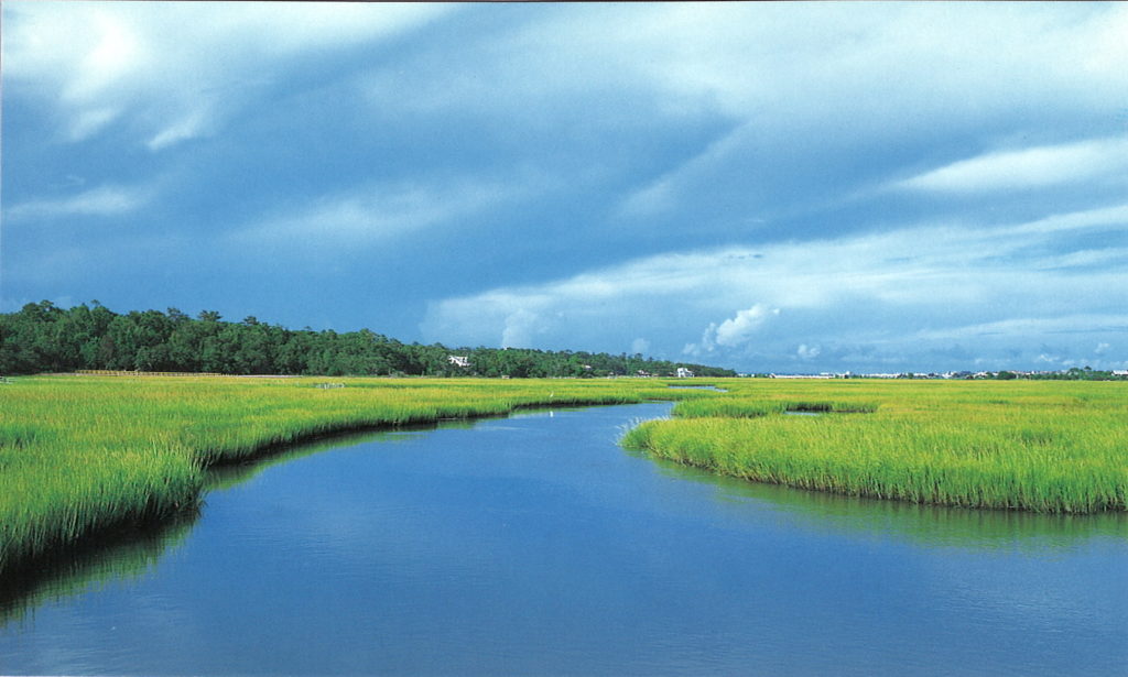 a river running through a marsh