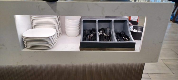 Review – Detroit DTW New Delta Satellite “Mini” Skyclub A Concourse