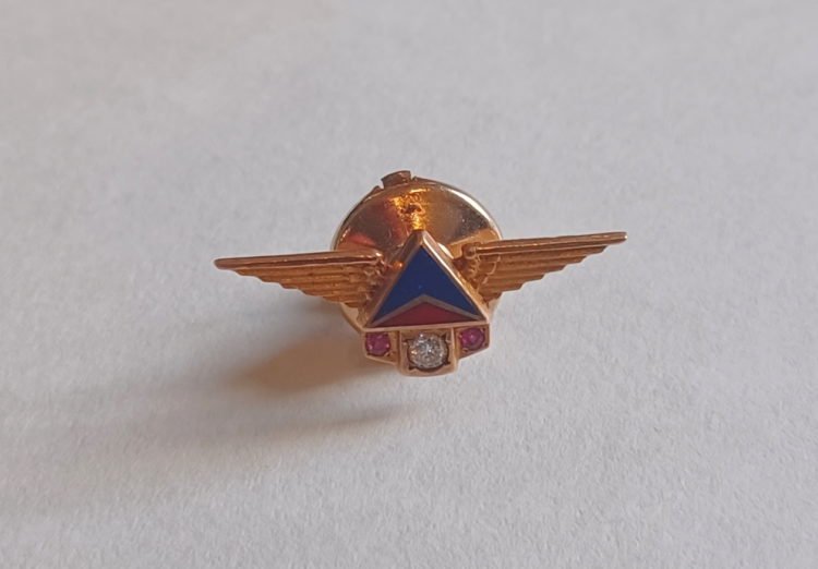 a gold pin with wings and a blue triangle