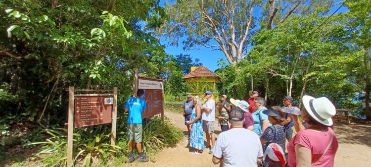 How to Avoid Gaining Weight on a Cruise Ship – or at Least Gain Less