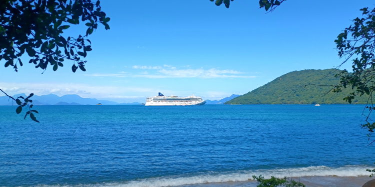 a cruise ship in the water