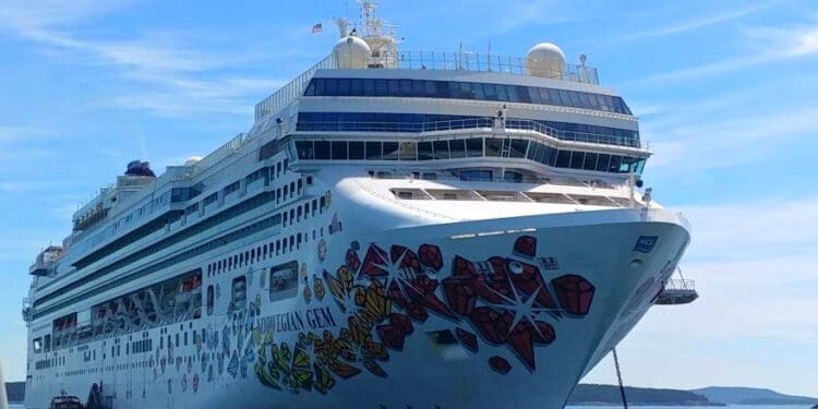 a cruise ship in the water
