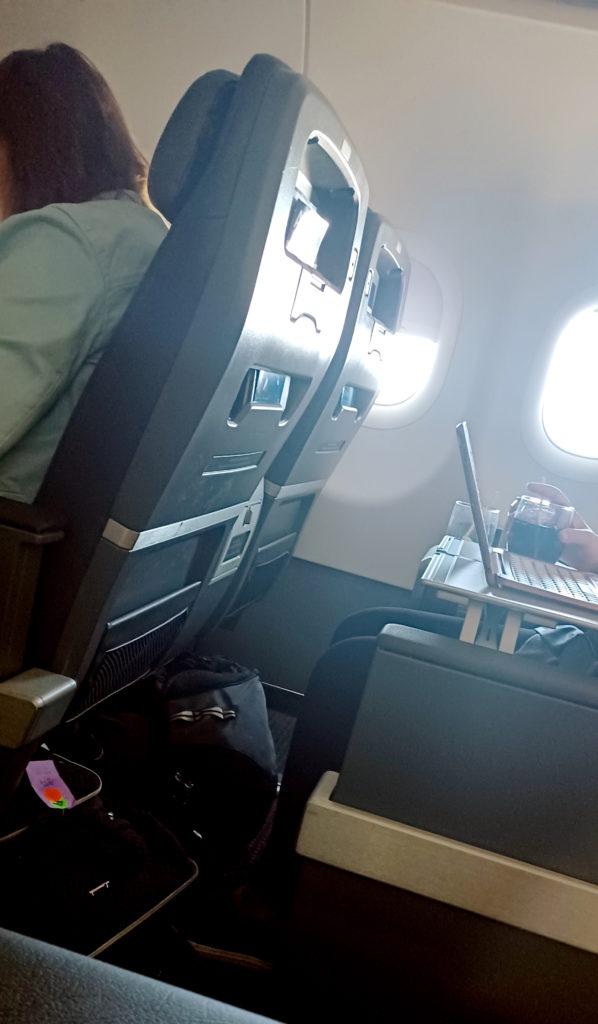 a person sitting in an airplane with a laptop