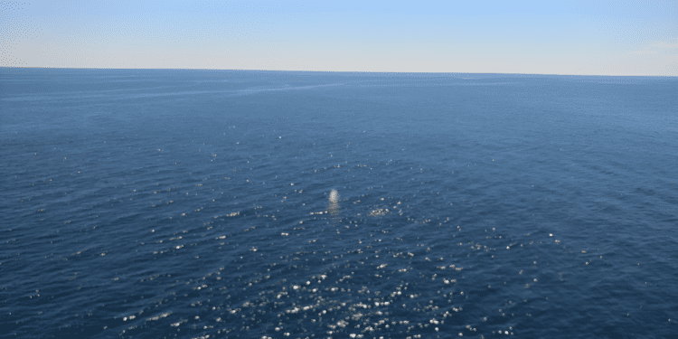 a large body of water with a white object in the middle