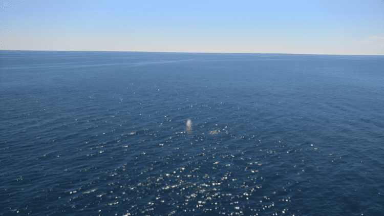 a large body of water with a white object in the middle