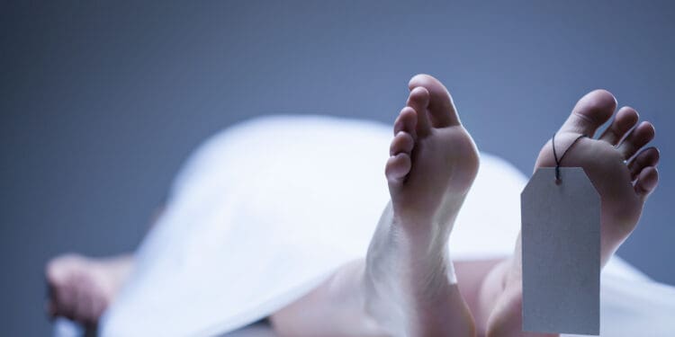 What happens if you die on a cruise ship?