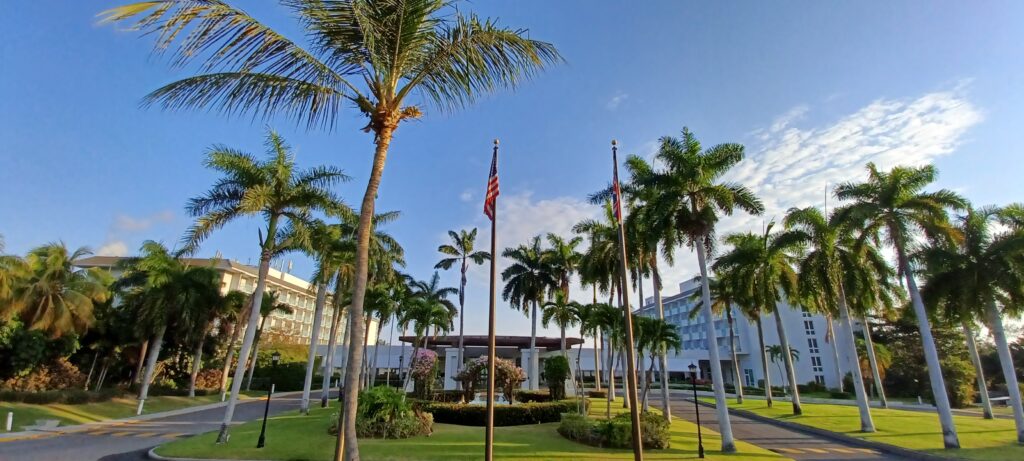 a palm trees and flags in front of a hotel