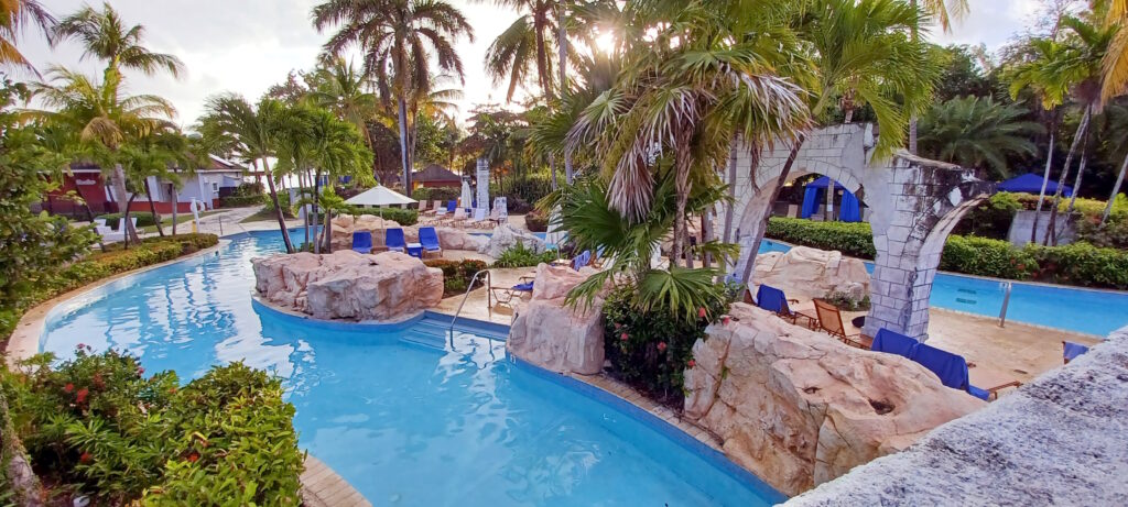 a pool with rocks and palm trees