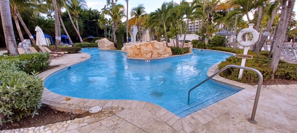 a pool with palm trees and a stone walkway