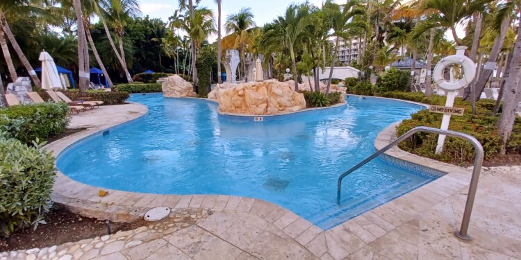 a pool with a stone walkway and palm trees