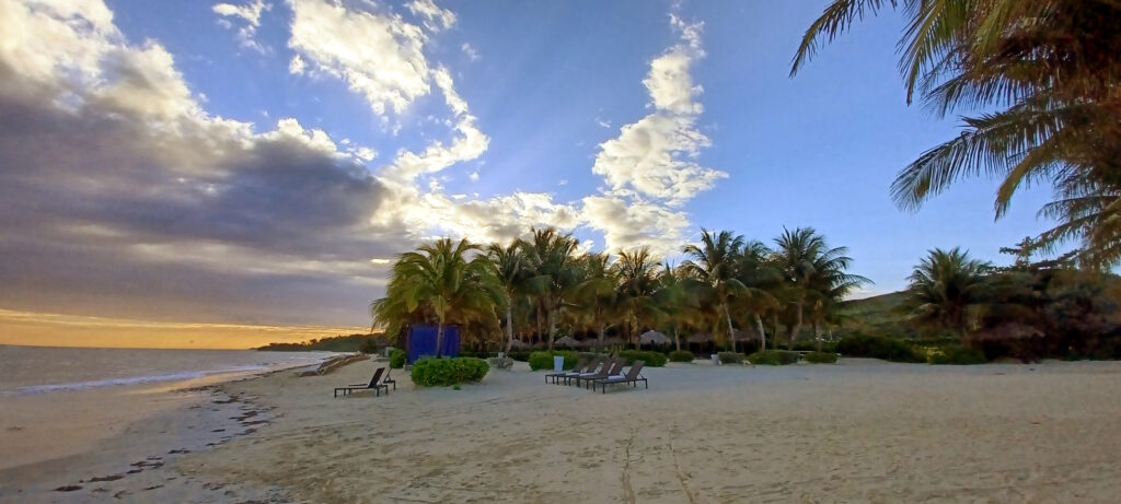 a beach with chairs and palm trees