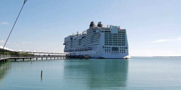 a large cruise ship docked at a dock