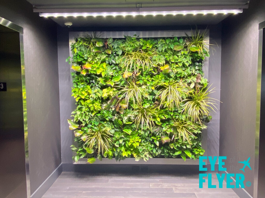 Living wall in the elevator alcove at the InterContinental MSP