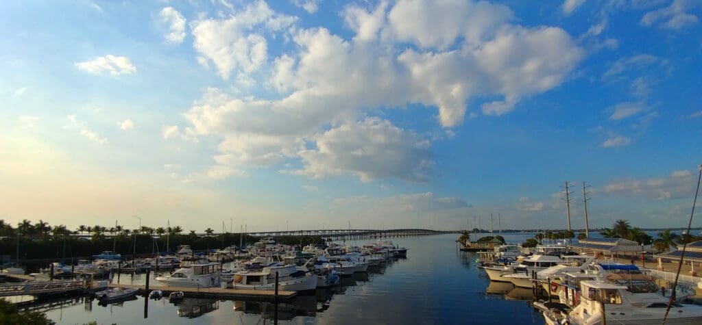 a group of boats in a harbor