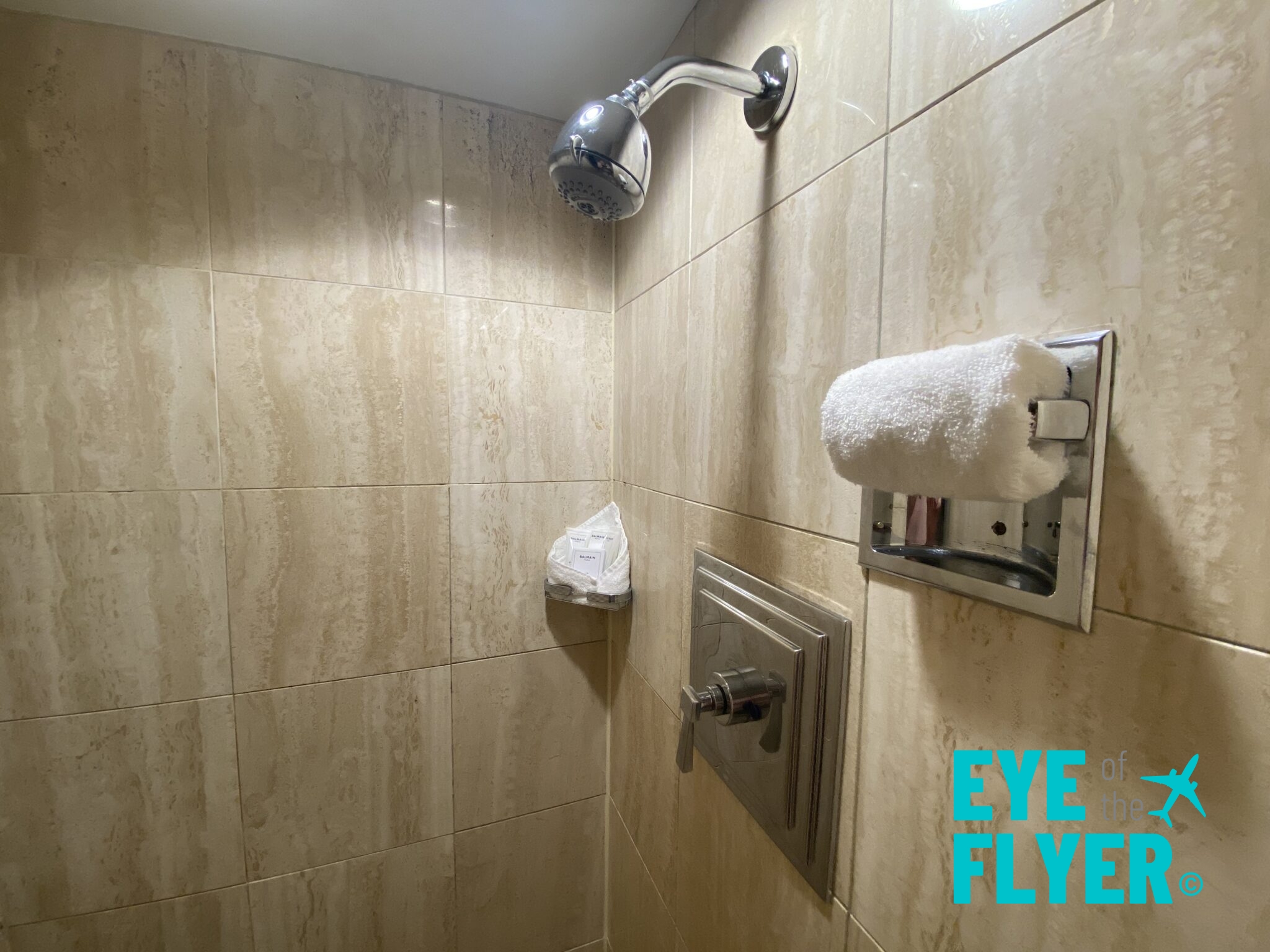 GrandHyattWashingtonDCSuiteUpgradeReviewShower Eye of the Flyer