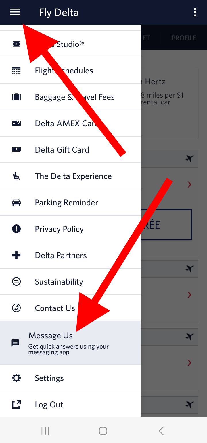 A Workaround For Broken Delta First Class Pre-Order Meal Selection in Fly Delta App