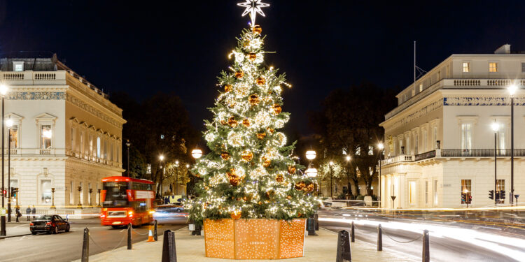 Christmas tree on Waterloo place in London, England