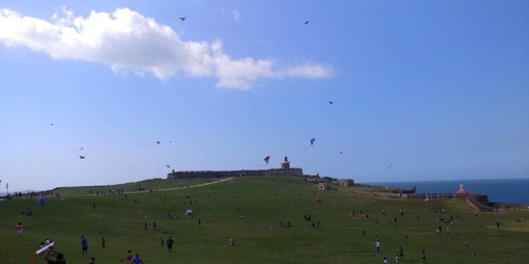 a group of people flying kites on a grassy hill