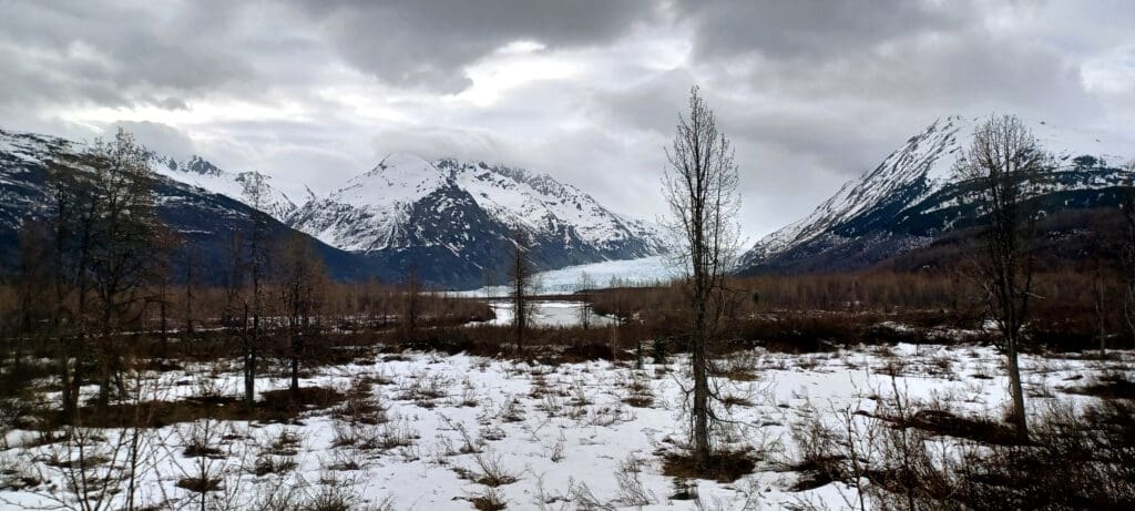 a snowy landscape with trees and a lake