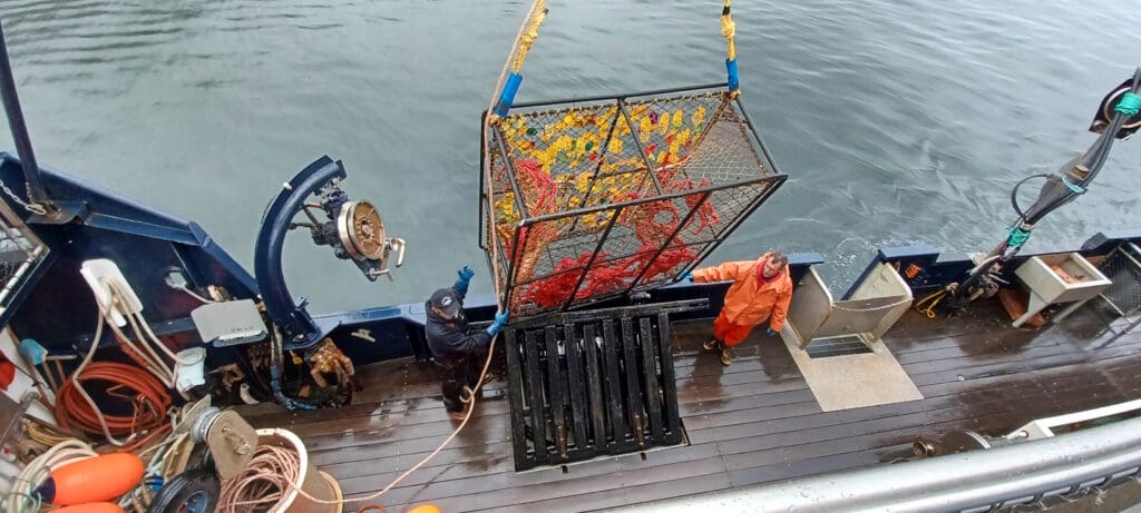 a group of men on a boat with a net