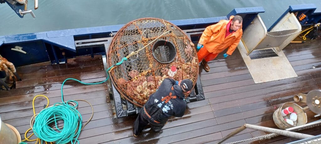 a group of people standing next to a large net on a boat